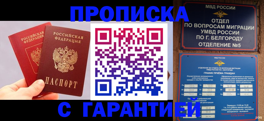 прописка 2025 в Владимирской области